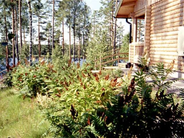 Дома для отпуска Holiday Home Kallionnenä Mäkikylä-43